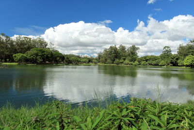 Scenic view of lake by trees against sky