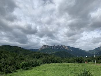Scenic view of landscape against sky