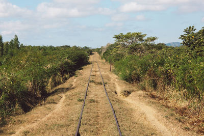 Dirt road along plants and trees against sky