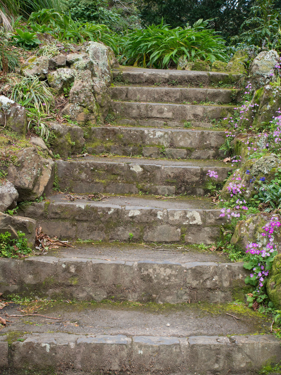 STEPS OF STONE STAIRCASE