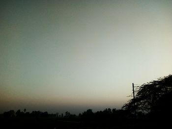 Low angle view of silhouette trees against clear sky