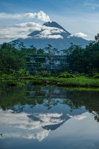 Scenic view of lake by trees against sky