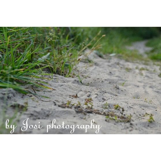 transfer print, auto post production filter, text, western script, communication, nature, day, outdoors, water, plant, grass, field, no people, tranquility, high angle view, rock - object, landscape, tranquil scene, beauty in nature, growth