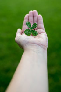 Close-up of hand holding leaf