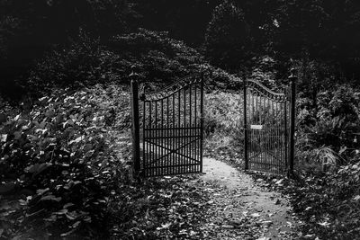 Closed gate of trees in park