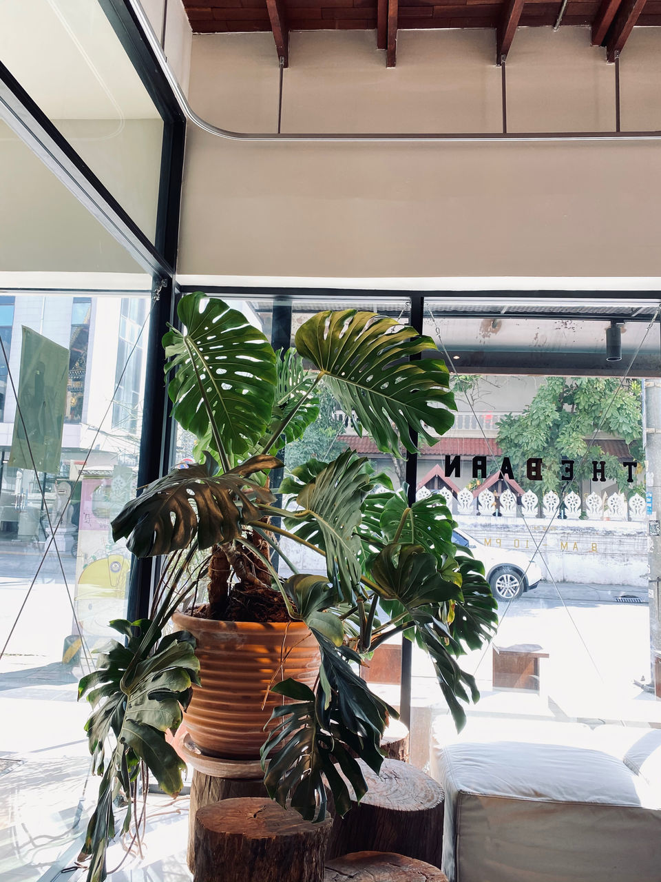 POTTED PLANTS ON GREENHOUSE