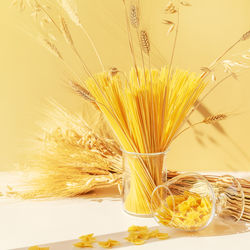 Raw spaghetti, farfalle pasta in a glasses with a bouquet of wheat. zero waste concept, no plastic