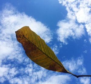 Low angle view of sky