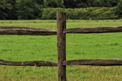 Close-up of fence on field