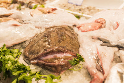 Close-up of fish for sale