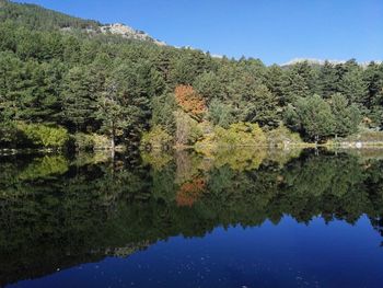 Reflection of trees in lake against blue sky