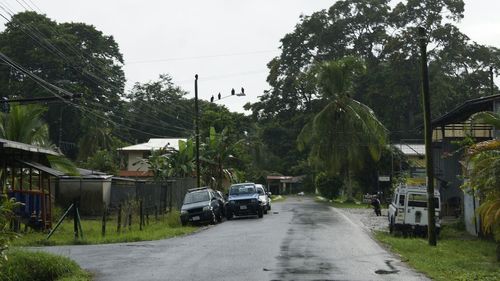 Road passing through trees