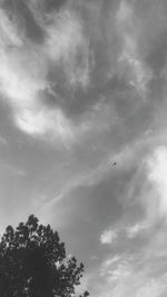 Low angle view of bird flying against sky