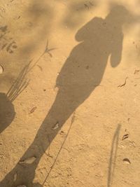 High angle view of shadow on sand