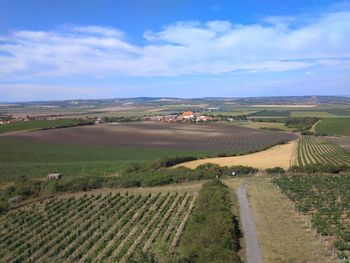 Scenic view of agricultural field against sky