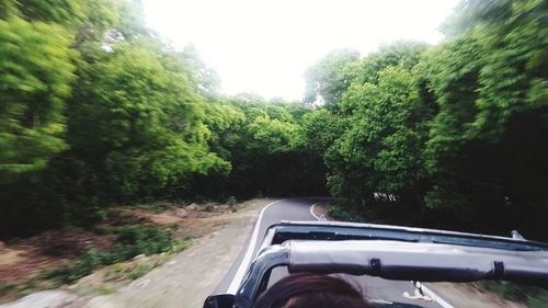 Car on road by trees against sky