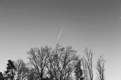 Low angle view of trees against clear sky