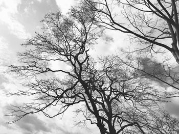 Low angle view of bare tree against cloudy sky