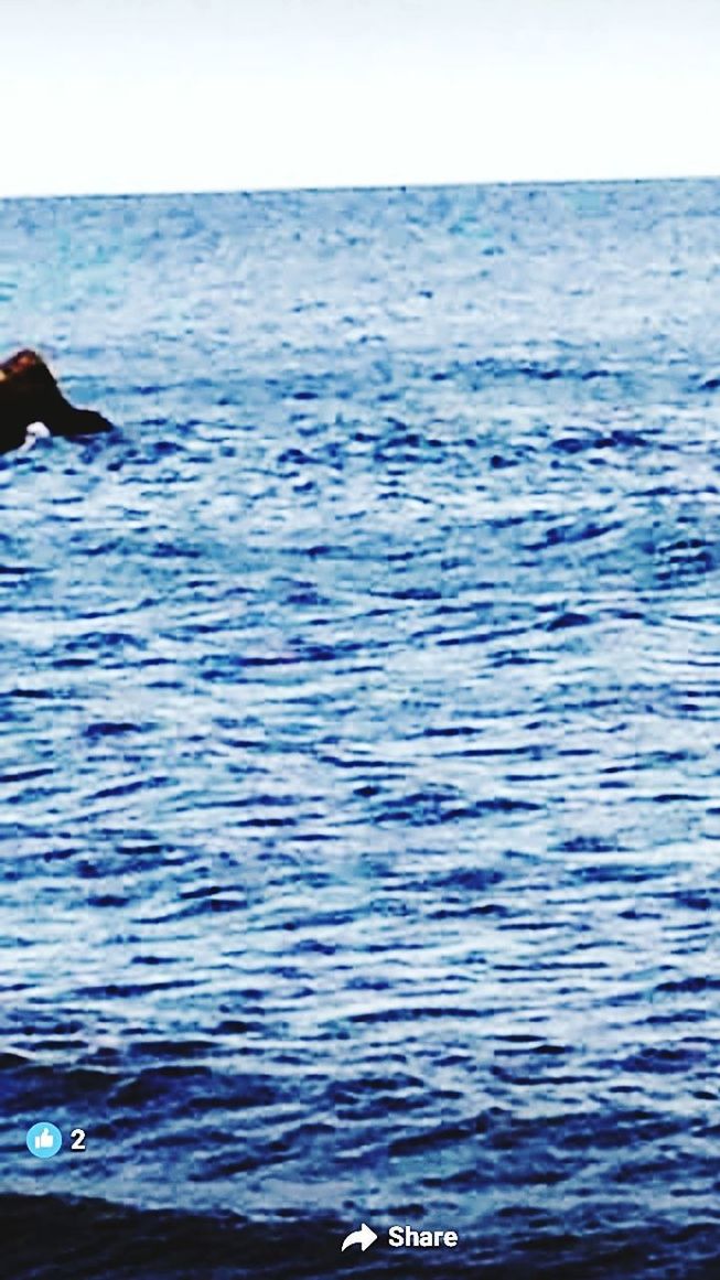 LOW SECTION OF MAN SWIMMING IN WATER