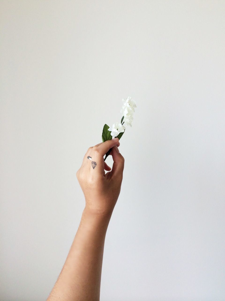 CLOSE-UP OF HAND HOLDING FLOWERS