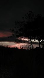 Silhouette trees on field against sky at sunset