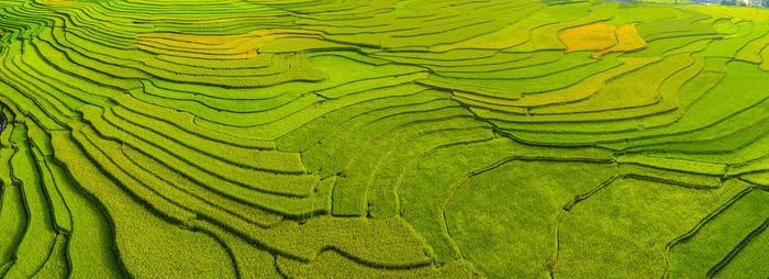 Full frame shot of terraced field