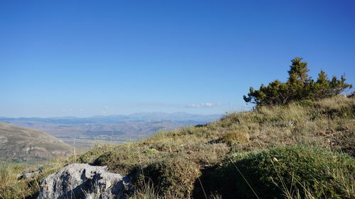 Scenic view of landscape against clear blue sky