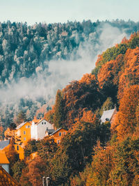 High angle view of trees and buildings against sky