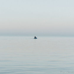 Boat sailing in sea against clear sky