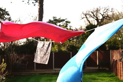 Close-up of clothes drying on clothesline