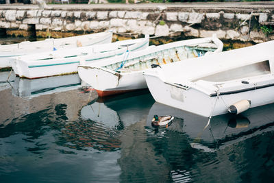 High angle view of fishing boats moored at harbor