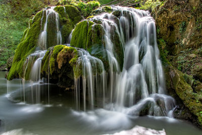 Scenic view of waterfall in forest