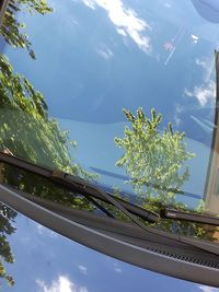 Low angle view of trees against sky