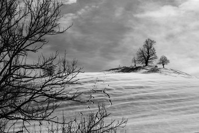 Bare tree against sky during winter