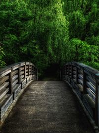 Footbridge in forest