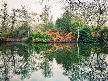 Reflection of trees in lake against sky