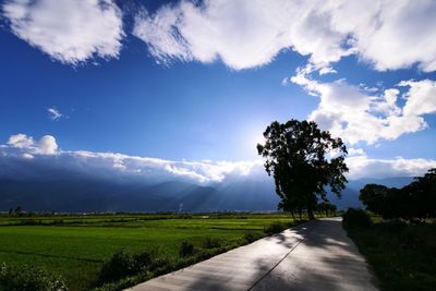 Road amidst trees against sky