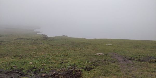 Scenic view of landscape against sky