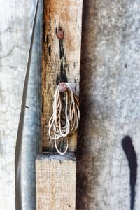 A rubber band hanging on a rusty nail