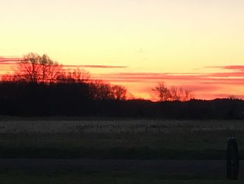 Silhouette trees on field against orange sky