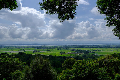 Scenic view of field against sky