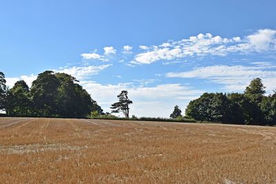 Scenic view of landscape against blue sky