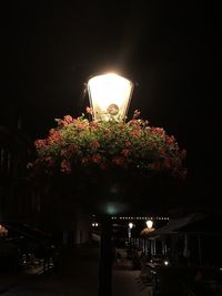 Illuminated street light in city at night