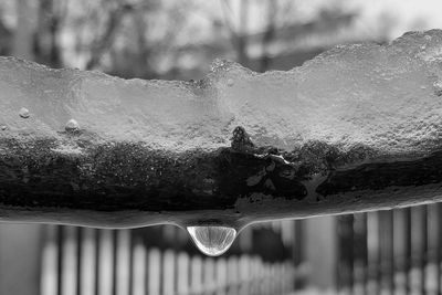 Close-up of water drops on white background