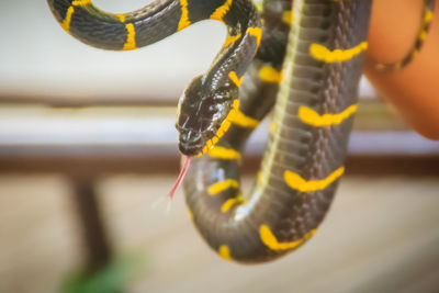 Close-up of rope hanging on metal
