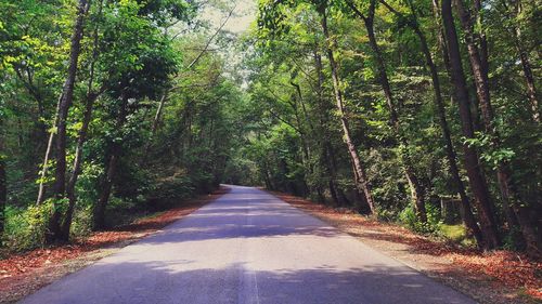 Road amidst trees in forest