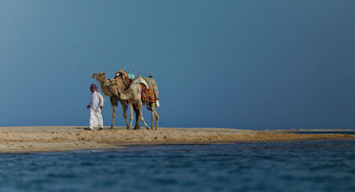 Panoramic view of people on shore against clear sky