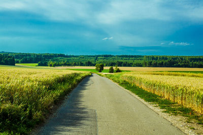 Road amidst agricultural field against sky