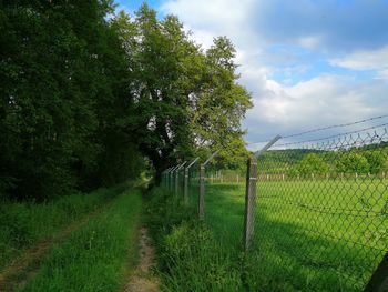 Trees growing on field against sky