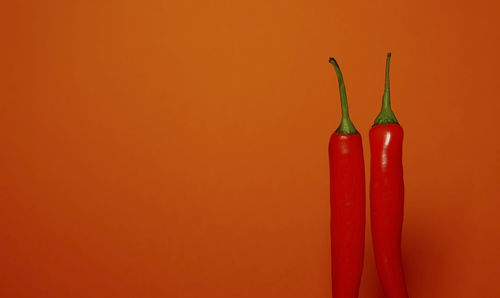 Close-up of red chili pepper against orange background